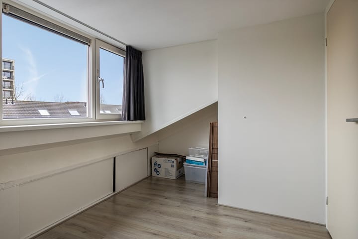 Foto 23 van Hertshoornvaren 43