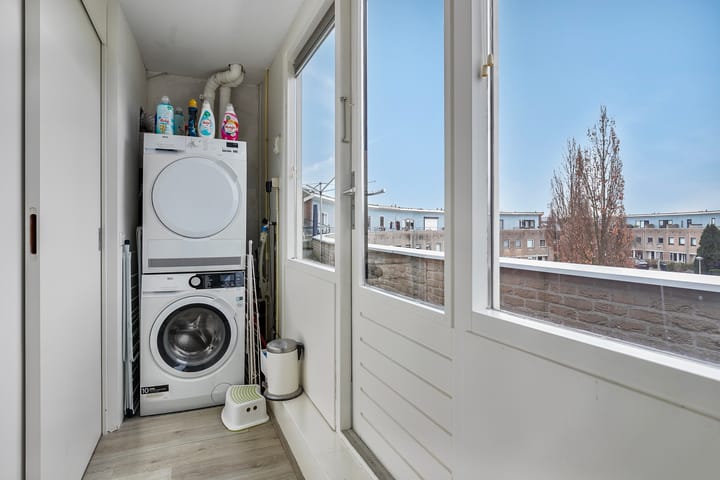 Foto 24 van Hertshoornvaren 43