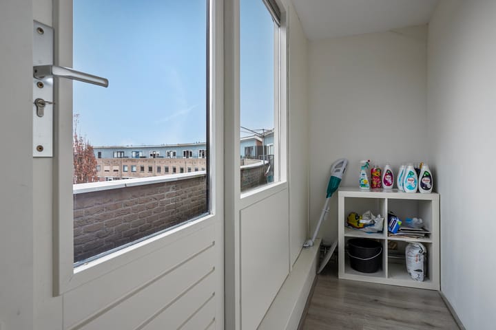 Foto 25 van Hertshoornvaren 43