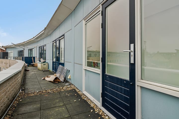 Foto 26 van Hertshoornvaren 43