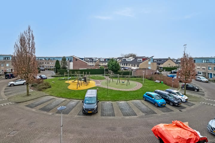 Foto 27 van Hertshoornvaren 43