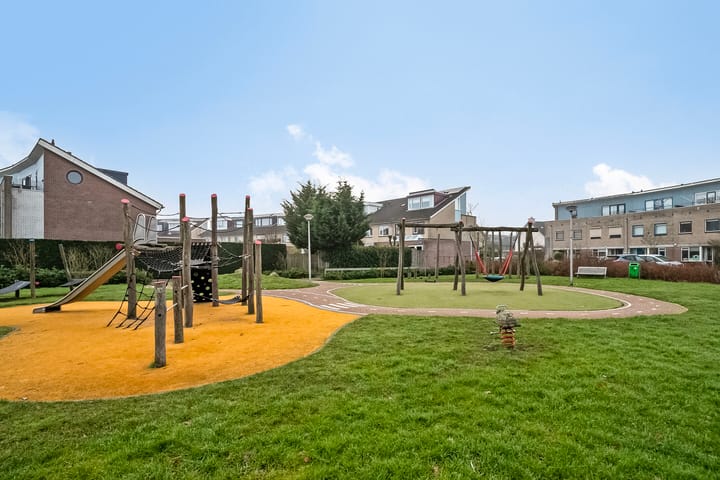 Foto 28 van Hertshoornvaren 43