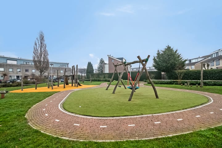 Foto 29 van Hertshoornvaren 43