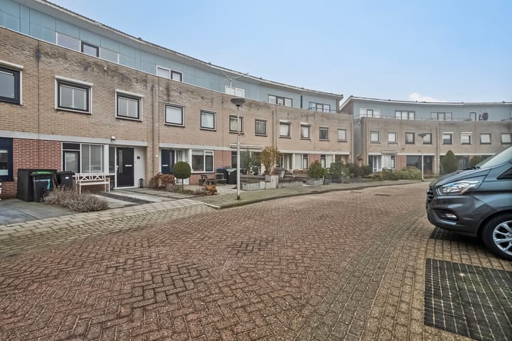 Foto 30 van Hertshoornvaren 43