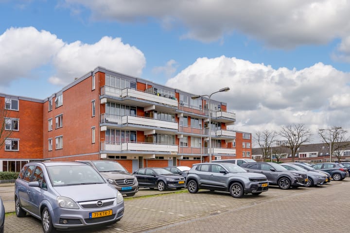 Foto 5 van Havikskruid 135