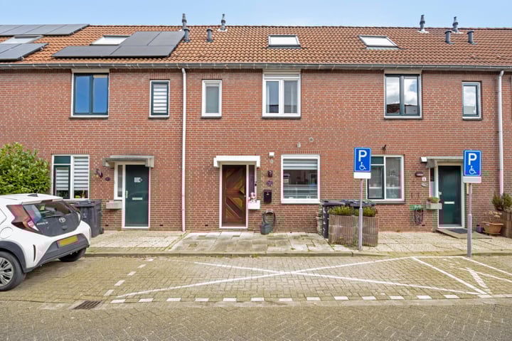 Foto 7 van Boogschutter 8