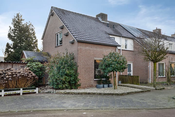 undefined main image