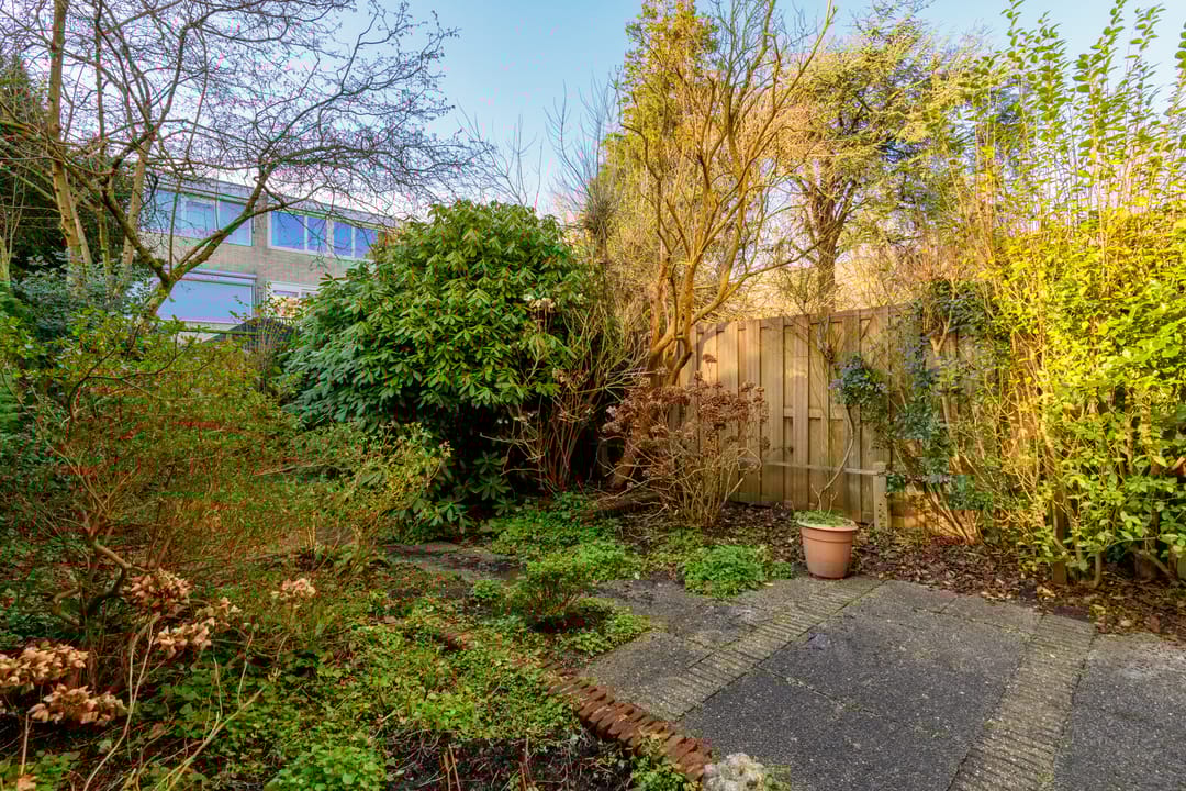 Foto 11 van Cannenburg 64