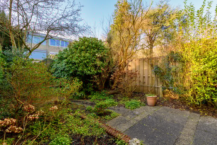 Foto 11 van Cannenburg 64