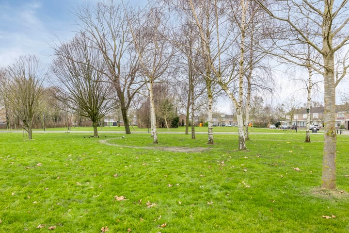 Foto 35 van Schoklandstraat 14