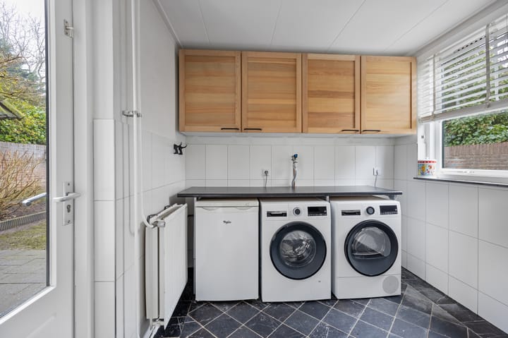 Foto 17 van Roerdomp 69