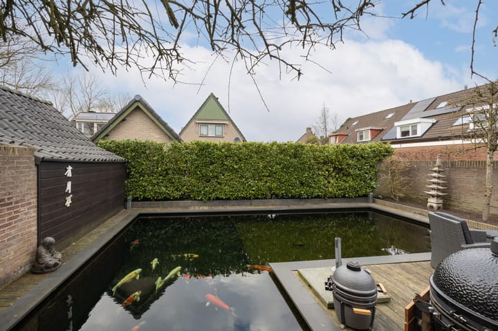 Foto 40 van Roerdomp 69