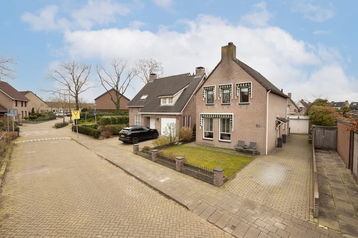 Foto 43 van Roerdomp 69