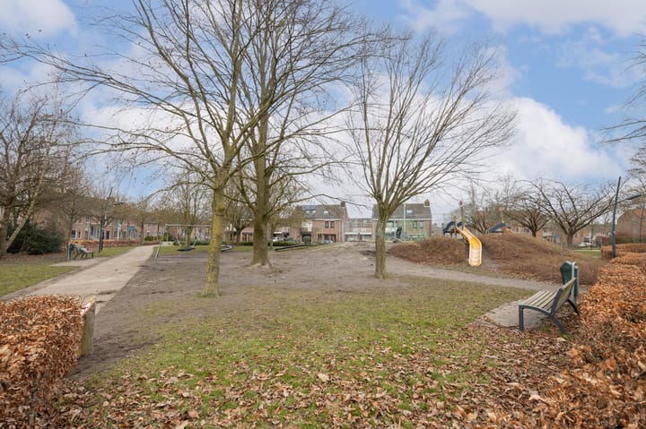 Foto 45 van Roerdomp 69