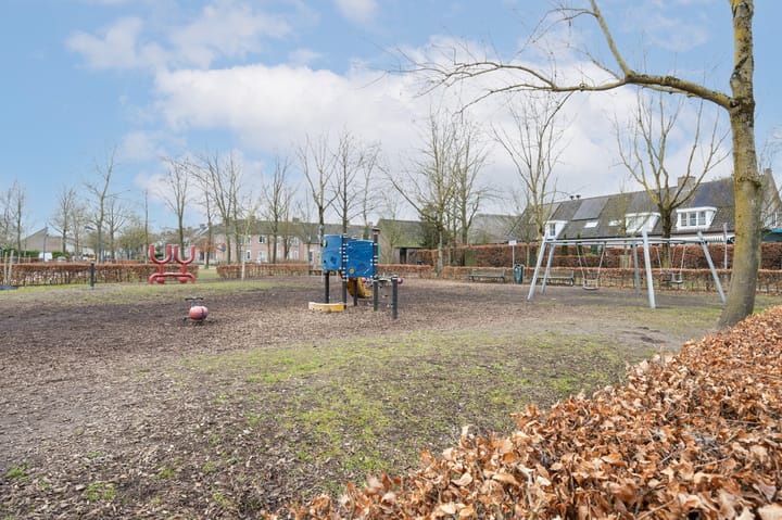 Foto 46 van Roerdomp 69