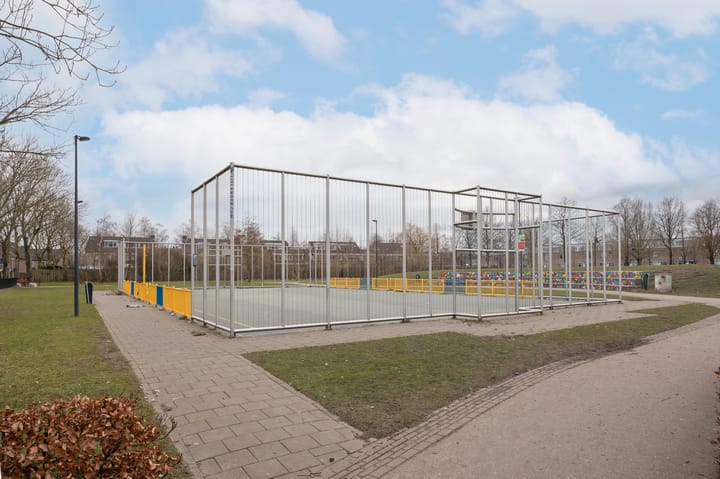 Foto 47 van Roerdomp 69