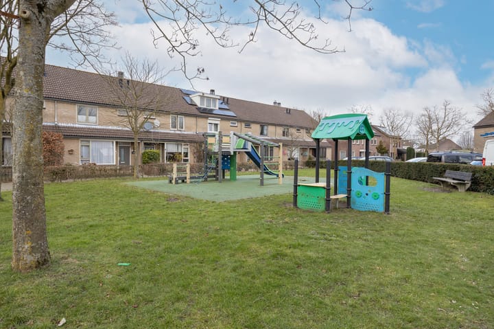 Foto 48 van Roerdomp 69