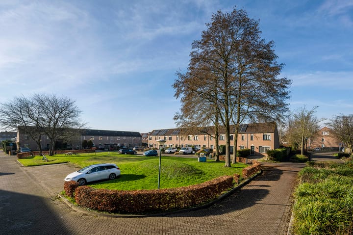 Photo 31 of Hunthum 29