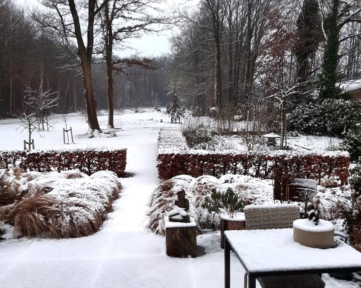 Foto 40 van Leeuwte 26