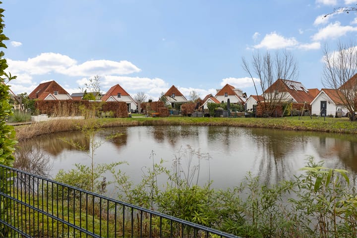 Foto 3 van IJsvogel 46