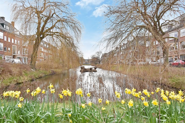 Foto 75 van Pomonaplein 74