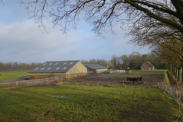 Foto 2 van Belgenhoek 26