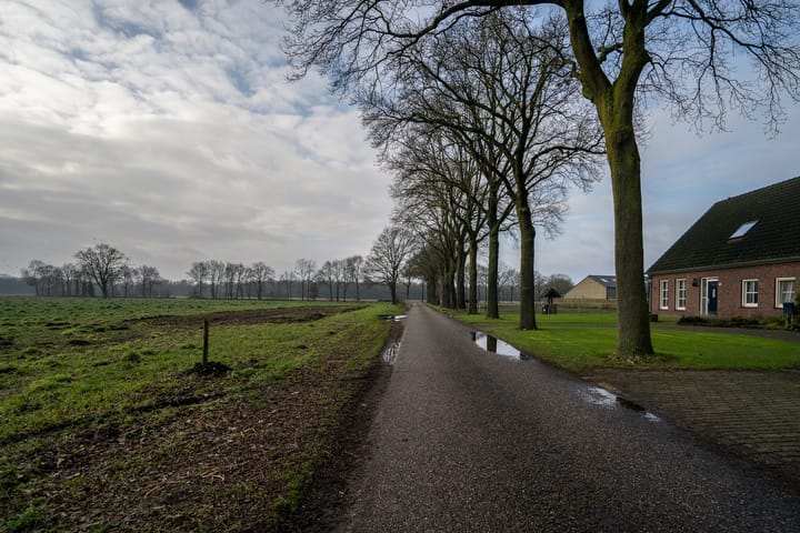 Foto 3 van Belgenhoek 26