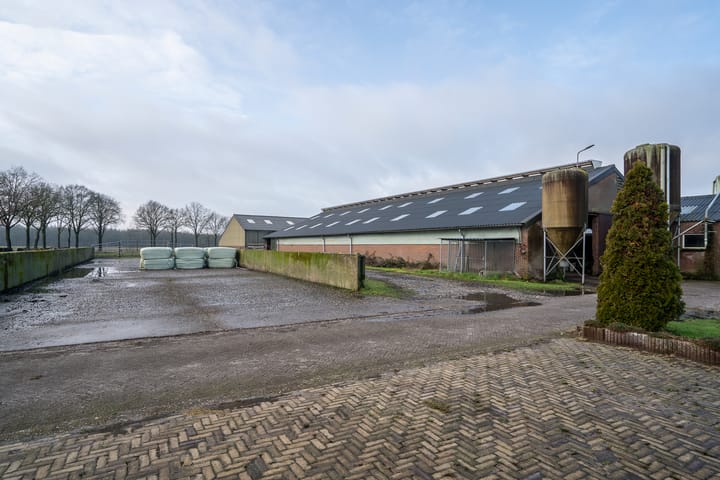 Foto 35 van Belgenhoek 26