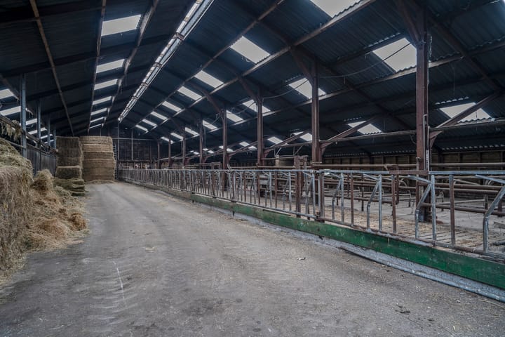 Foto 36 van Belgenhoek 26