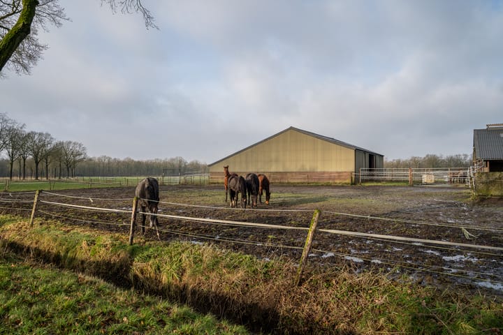 Foto 39 van Belgenhoek 26