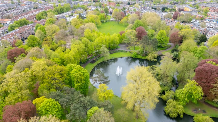 Foto 61 van Mauritsstraat 119