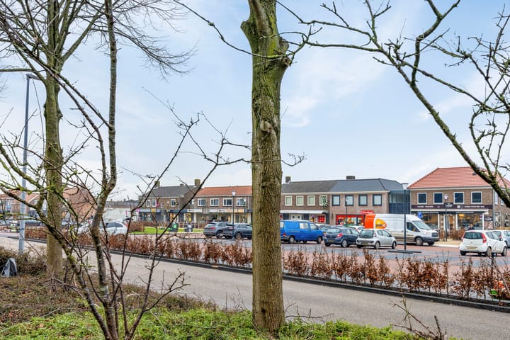 Foto 4 van Ir. Smedingplein 11