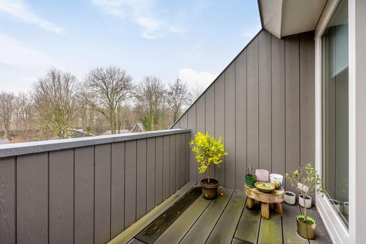 Foto 14 van Ir. Smedingplein 11