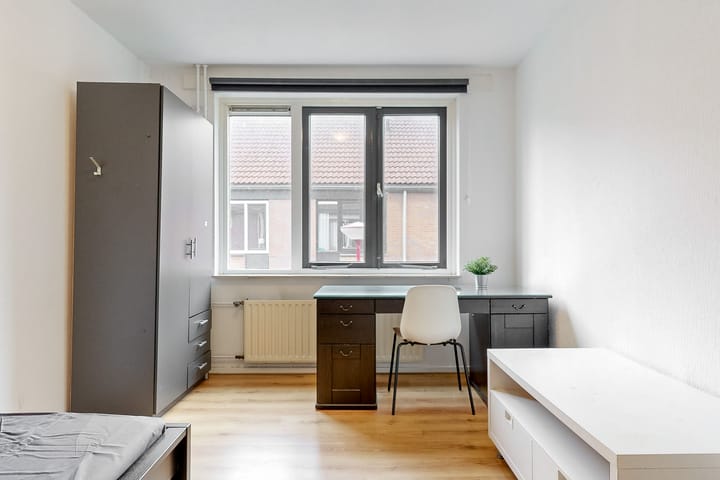 Photo 21 of Dintherseschans 7