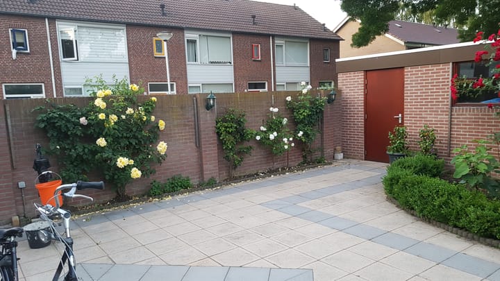 Foto 29 van Donizettistraat 50