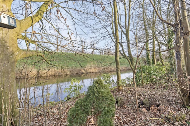 Foto 26 van Lobeliaplein 25