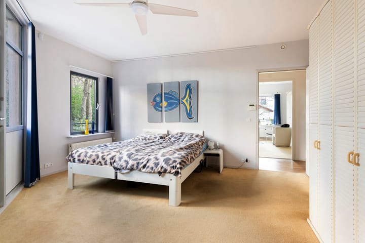 Foto 12 van Van Alkemadelaan 101