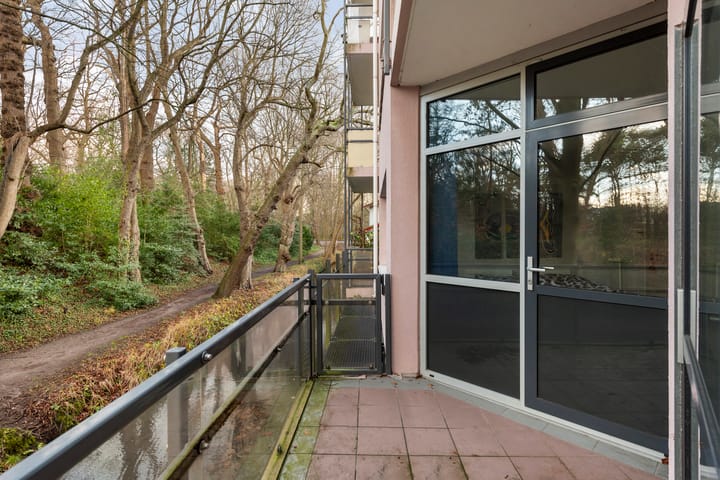 Foto 21 van Van Alkemadelaan 101