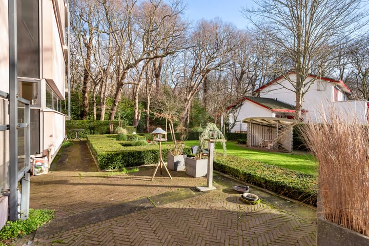 Foto 22 van Van Alkemadelaan 101