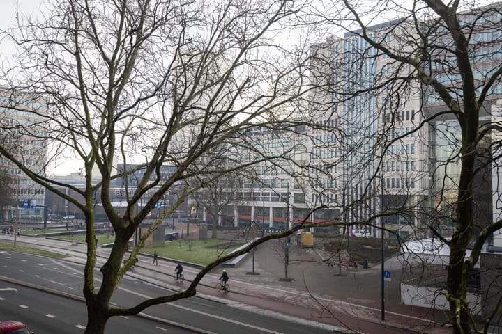 Foto 21 van Rochussenstraat 129-C