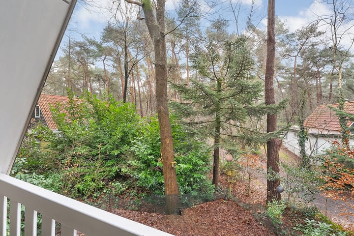 Photo 27 of Calluna Oost 41