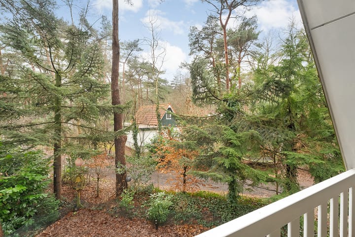 Photo 28 of Calluna Oost 41