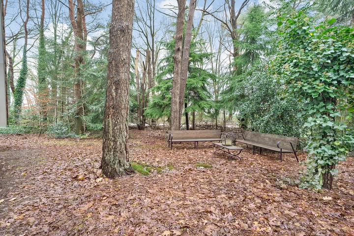 Photo 30 of Calluna Oost 41