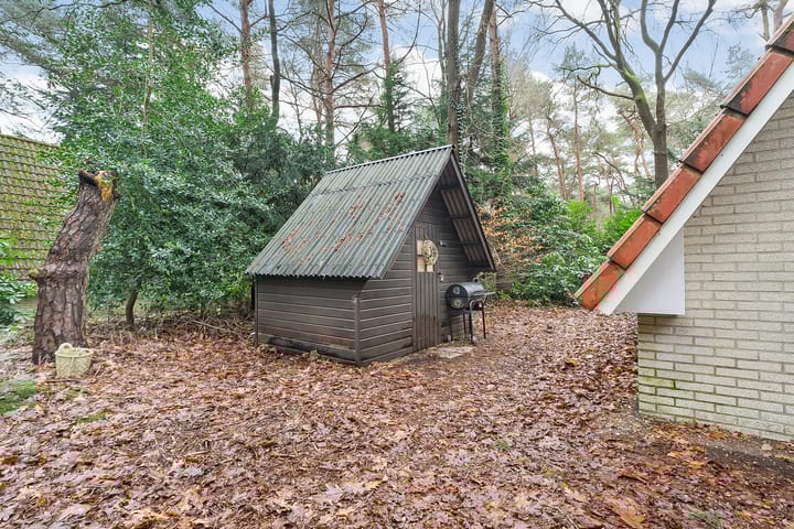 Photo 33 of Calluna Oost 41