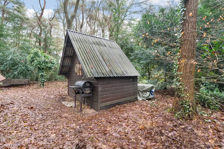 Photo 34 of Calluna Oost 41