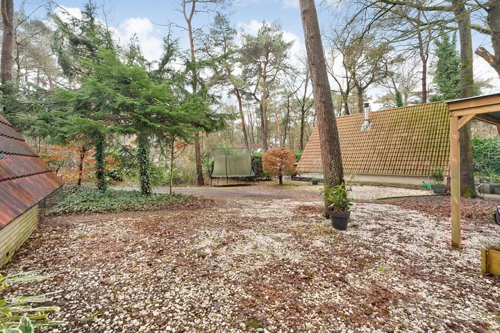 Photo 40 of Calluna Oost 41