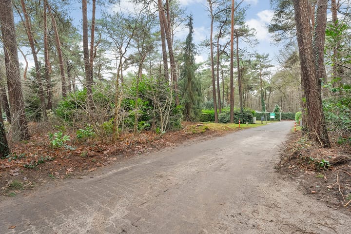 Photo 43 of Calluna Oost 41