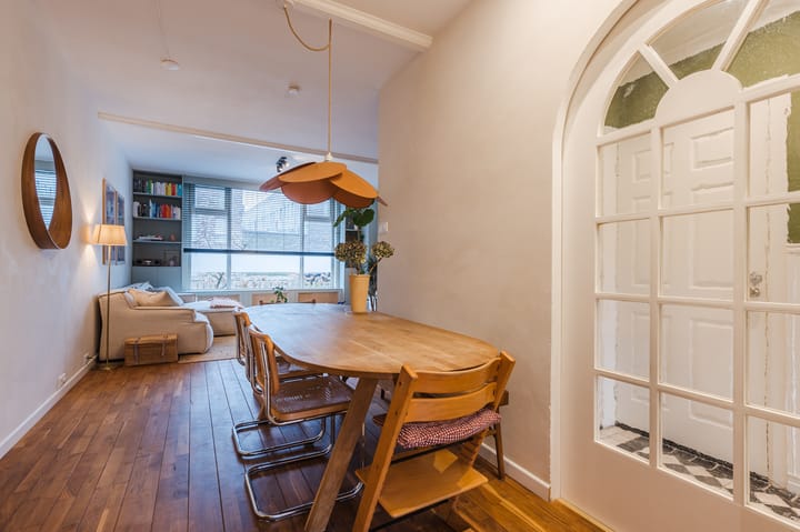 Foto 12 van Pieter Jelles Troelstralaan 93