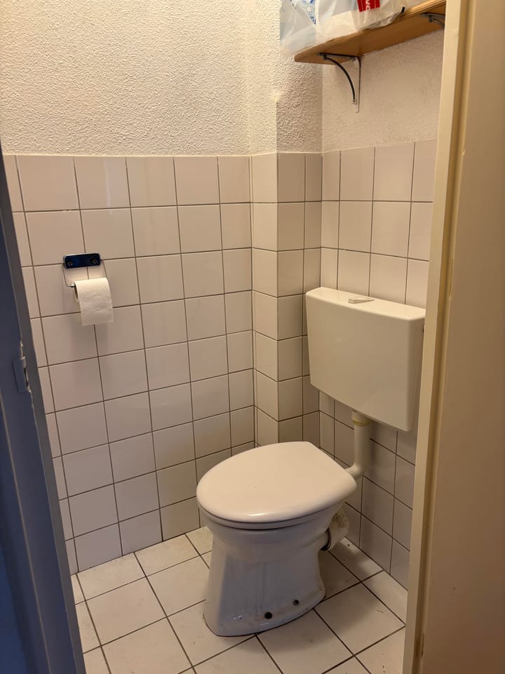 Photo 6 of Mr. P.J. Troelstralaan 263