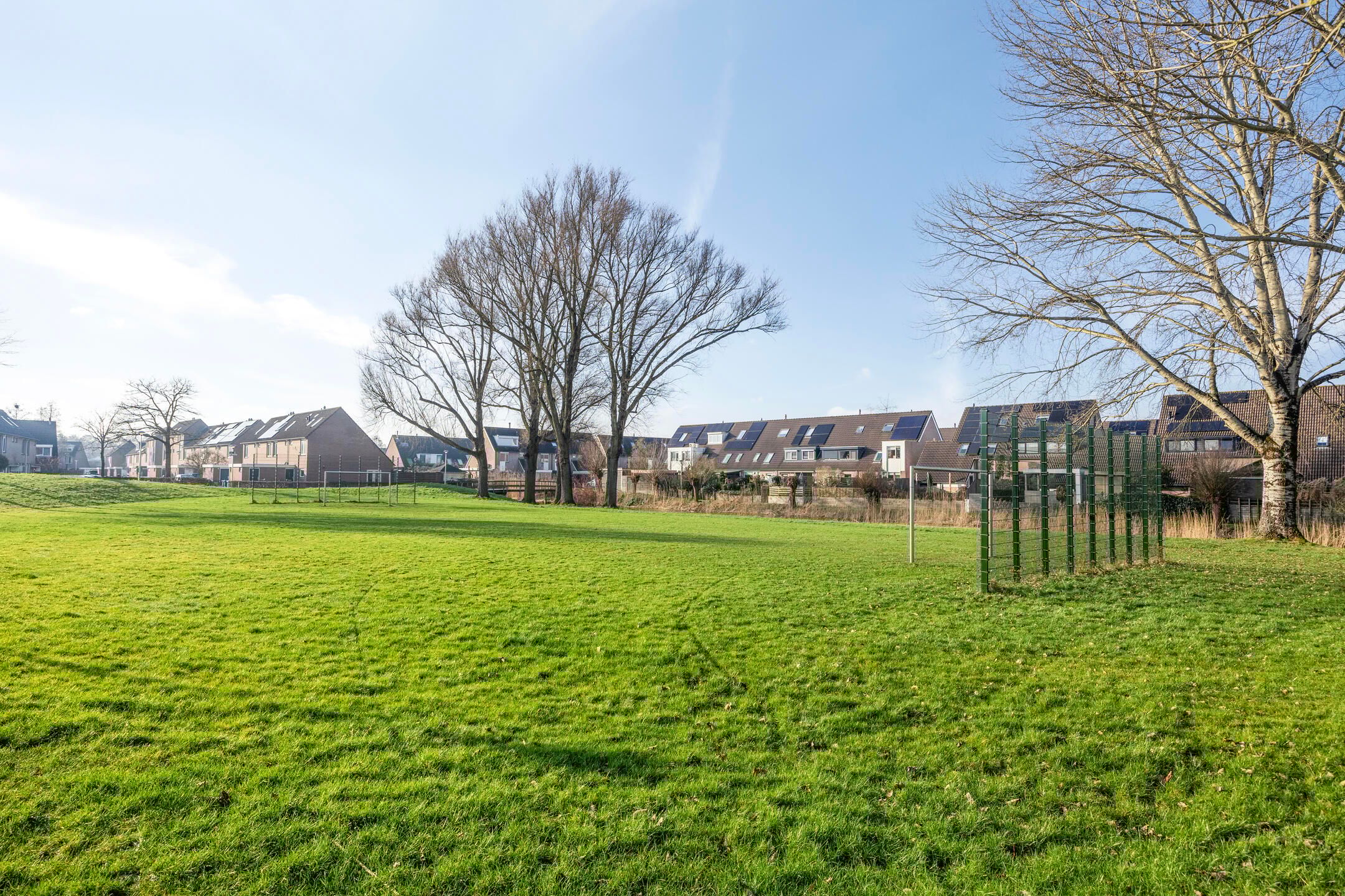 Foto 33 van Van Limburg Stirumware 82